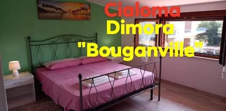 Cialoma Full Green Marina di Camerota Zewnętrze zdjęcie