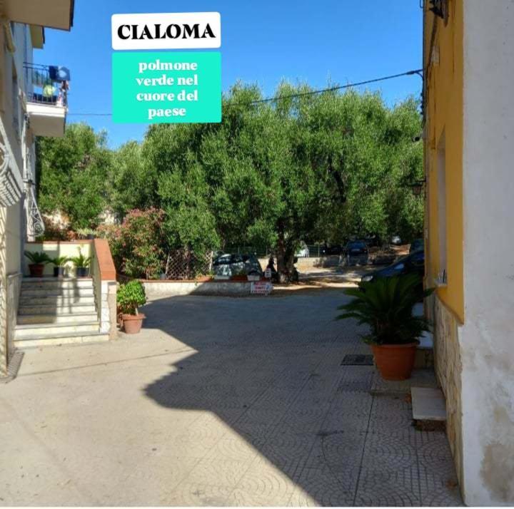 Cialoma Full Green Marina di Camerota Pokój zdjęcie
